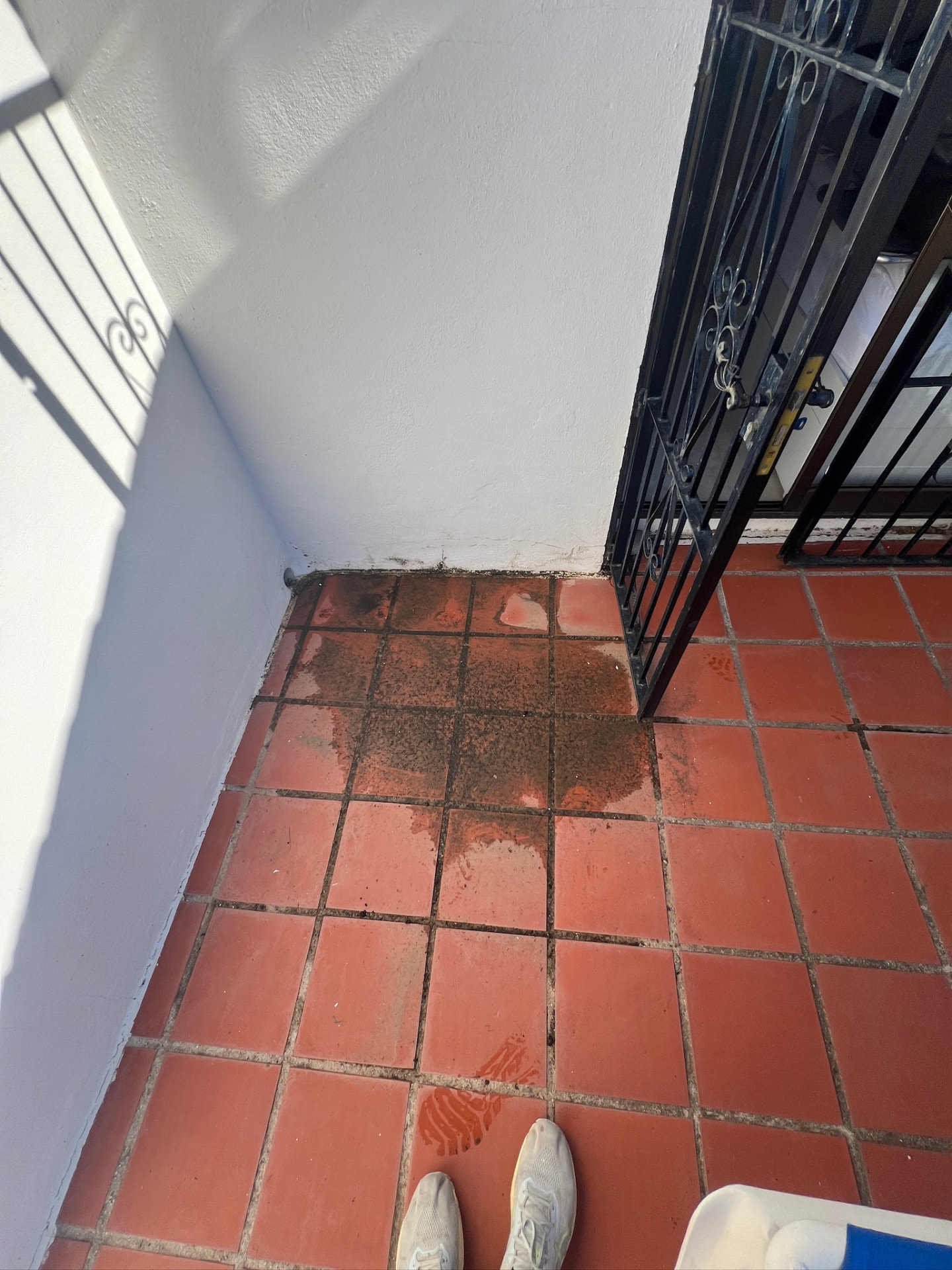 The terrace before: dark water stains and dirt along the corner of the old tiled floor